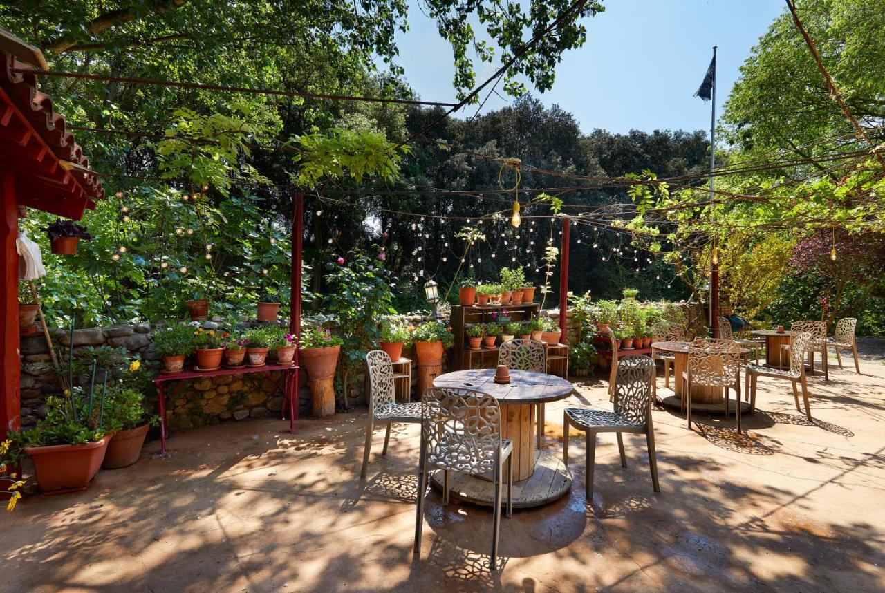Bed and breakfast Mas Torrencito Pet Friendly