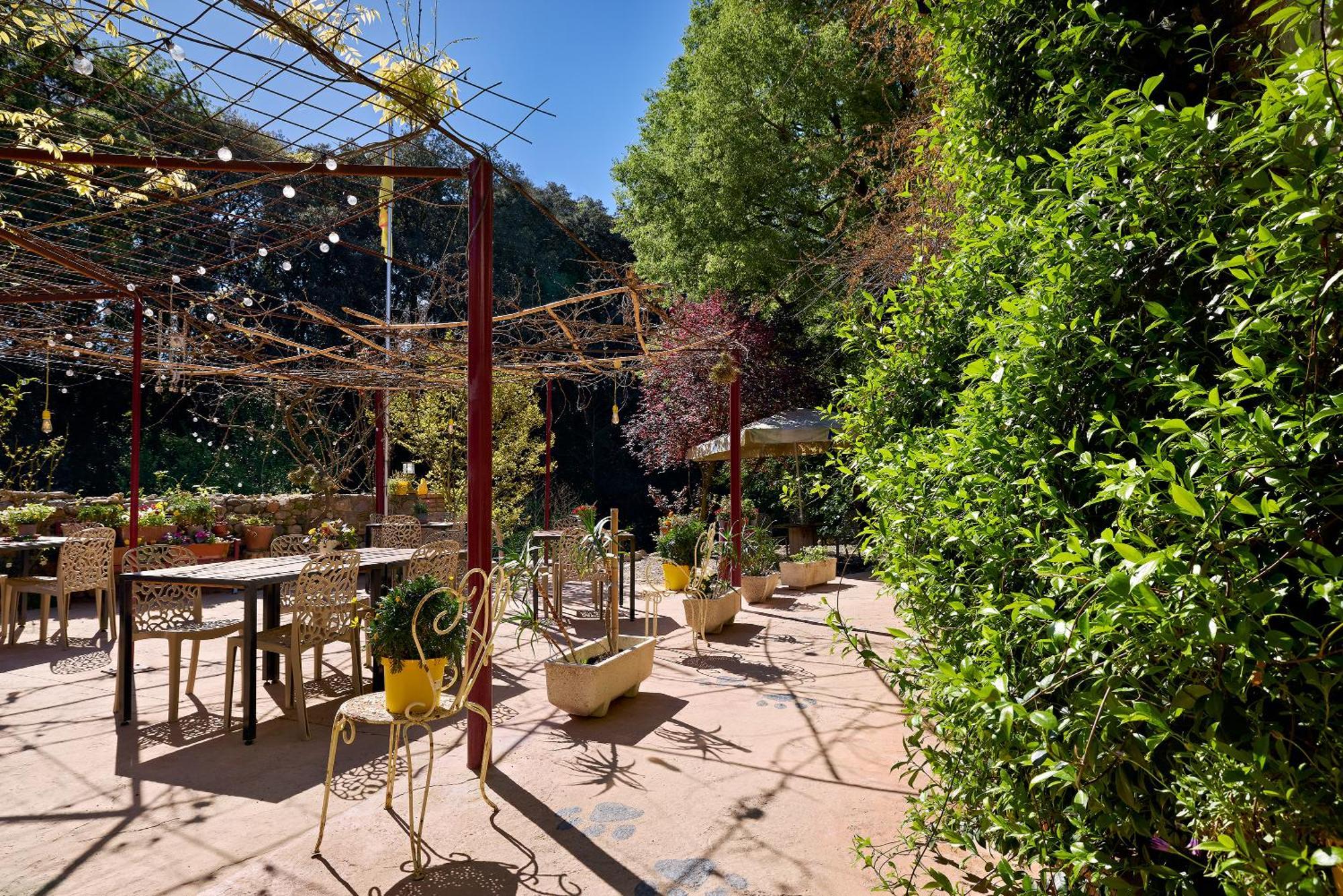 Mas Torrencito Pet Friendly * Parets d'Empordà