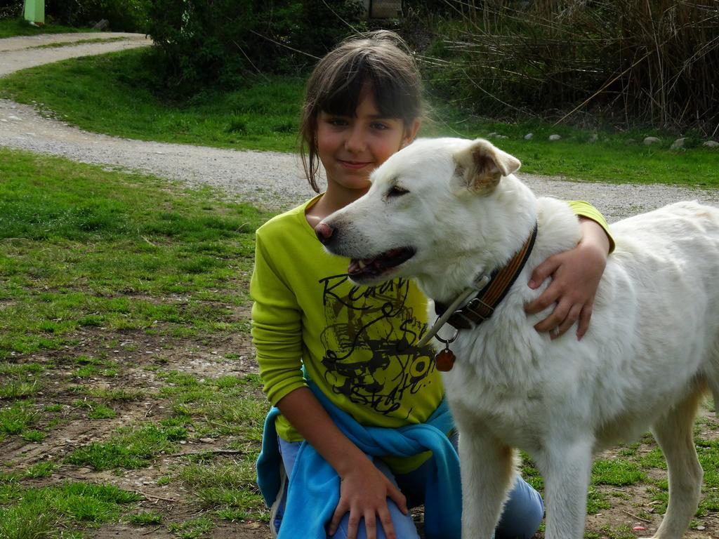 Bed and breakfast Mas Torrencito Pet Friendly Parets d'Empordà